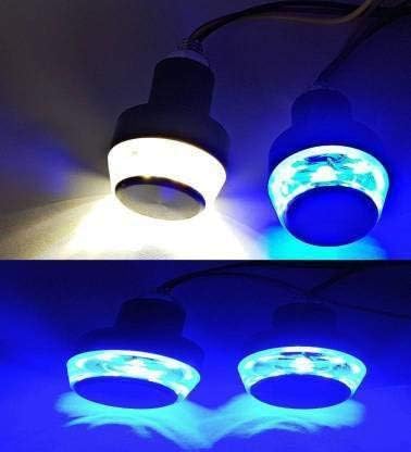 A4S AUTOMOTIVE & ACCESSORIES 15 Led White Bike Led Light & Bike Handle Bar LED Turn Signal Indicators Dual Color (Blue & White) Bulb For All Motorbikes with On/Off Switch Button